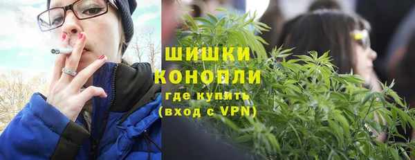 молекула духа Белоозёрский