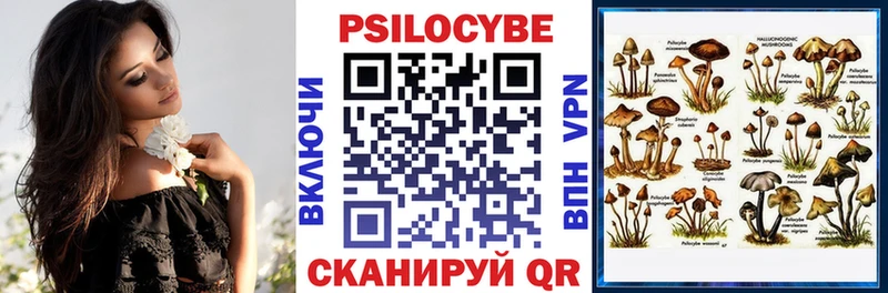 Купить закладки  Саратов  Псилоцибиновые грибы мухоморы 